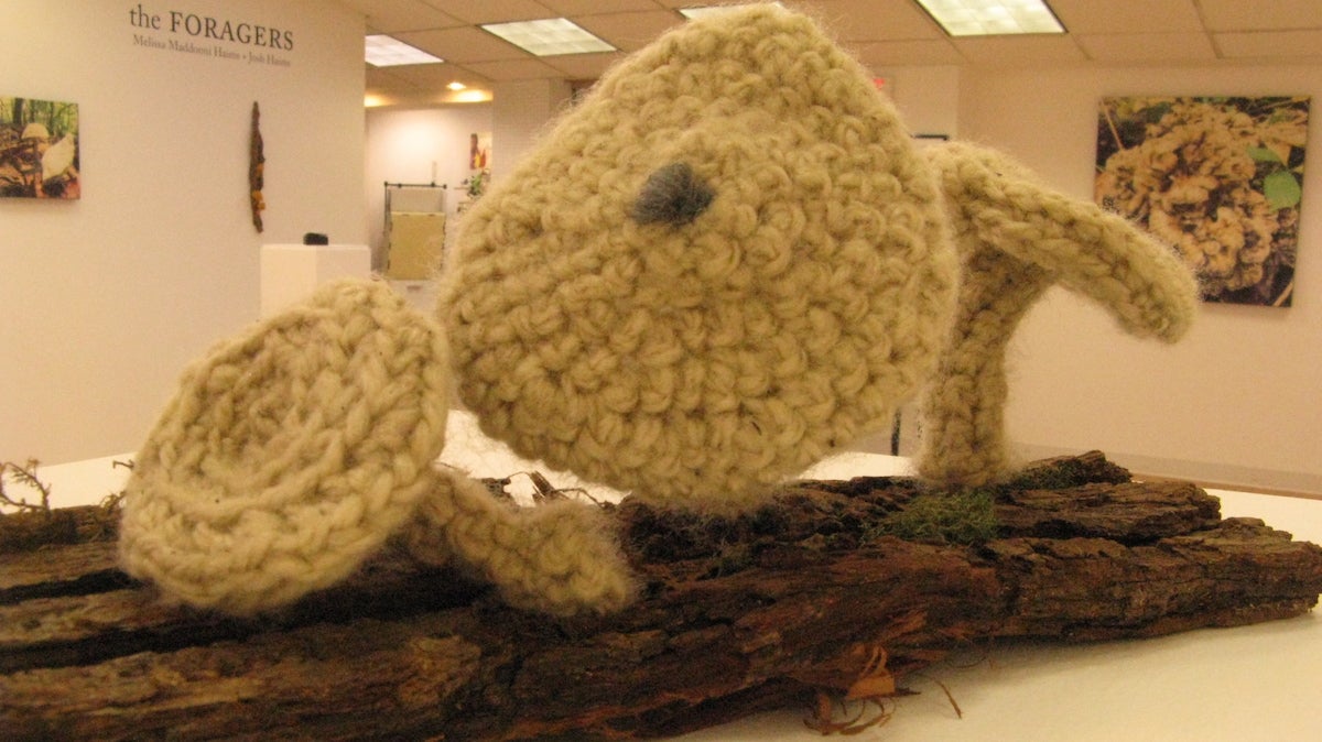  Melissa Maddonni Haims's soft sculpture mimics wild fungi. (Pamela J. Forsythe/for NewsWorks) 