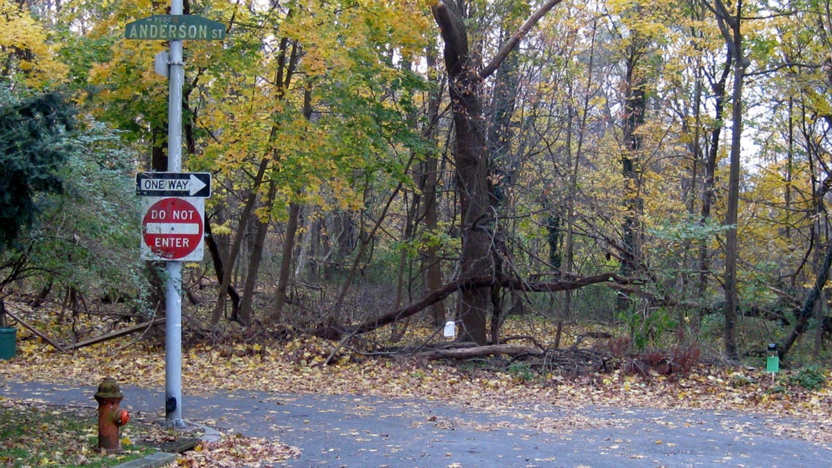  Formerly-private land along Cresheim Valley Drive is now part of the city's public park system. (Aaron Moselle/WHYY) 