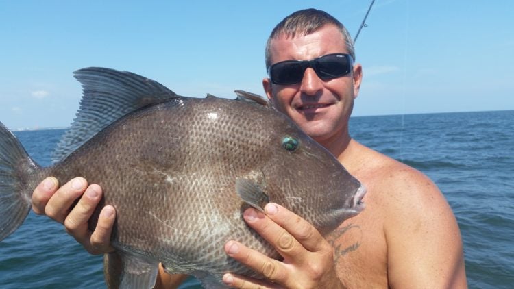 Jimmy Massimino holds his record setting gray triggerfish. (Image courtesy of Jimmy Massimino)