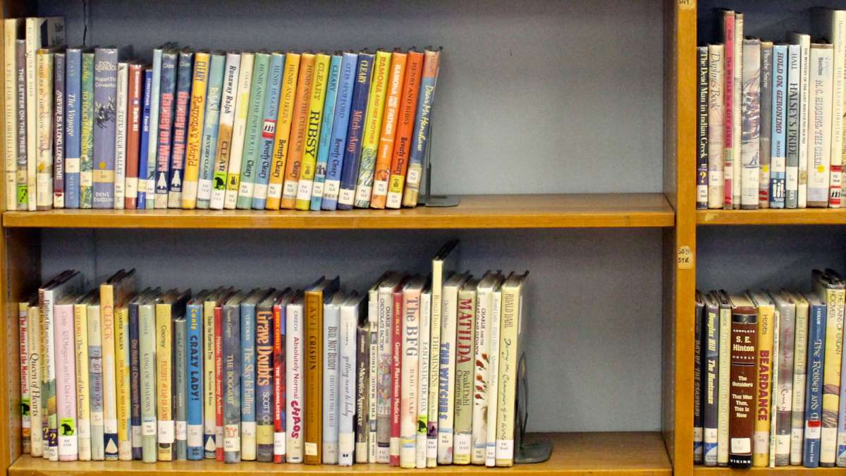  One grant from the Mt. Airy/Chestnut Hill Teacher's Fund will go toward buying classroom books at C.W. Henry. (Jana Shea/for NewsWorks, file) 