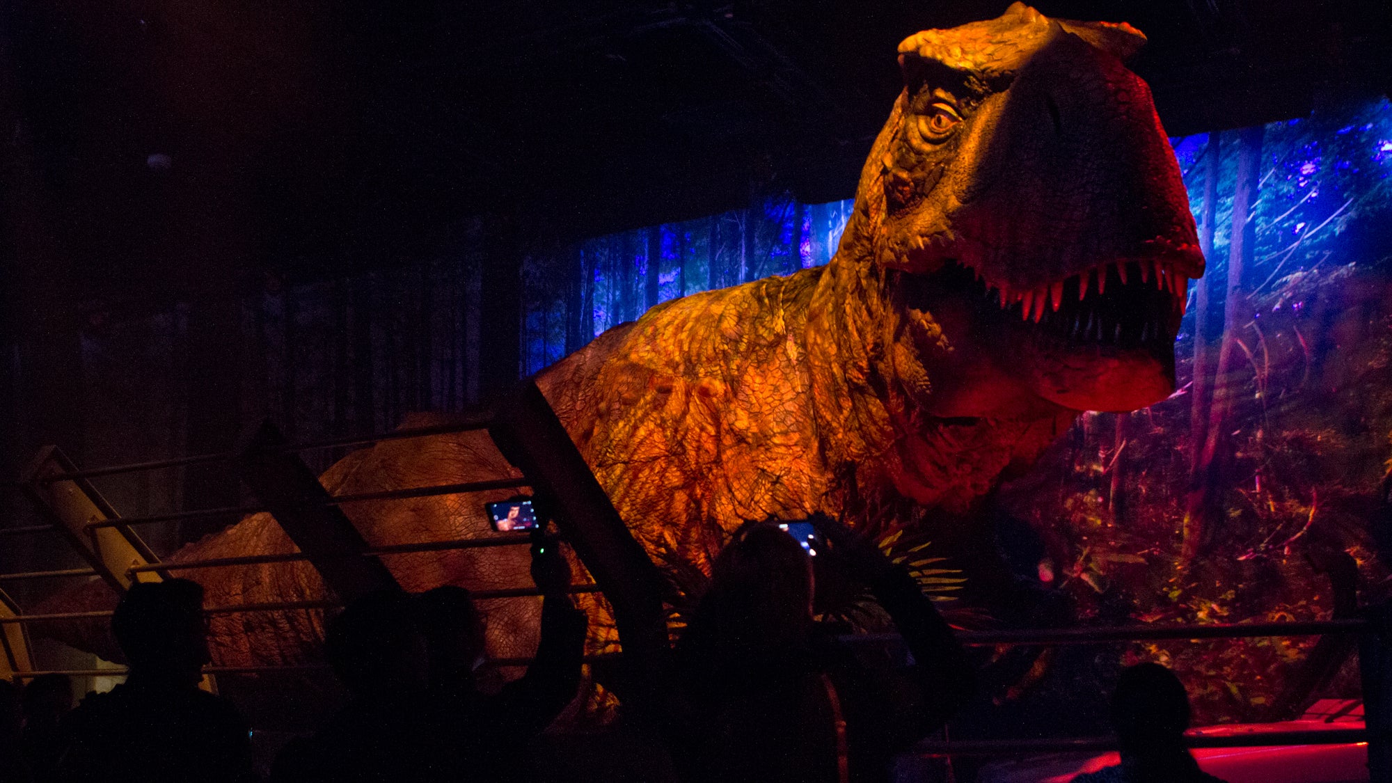 The Tyrannosaurus Rex emerges at the Jurassic World exhibit at the Franklin Institute. (Kimberly Paynter/WHYY)