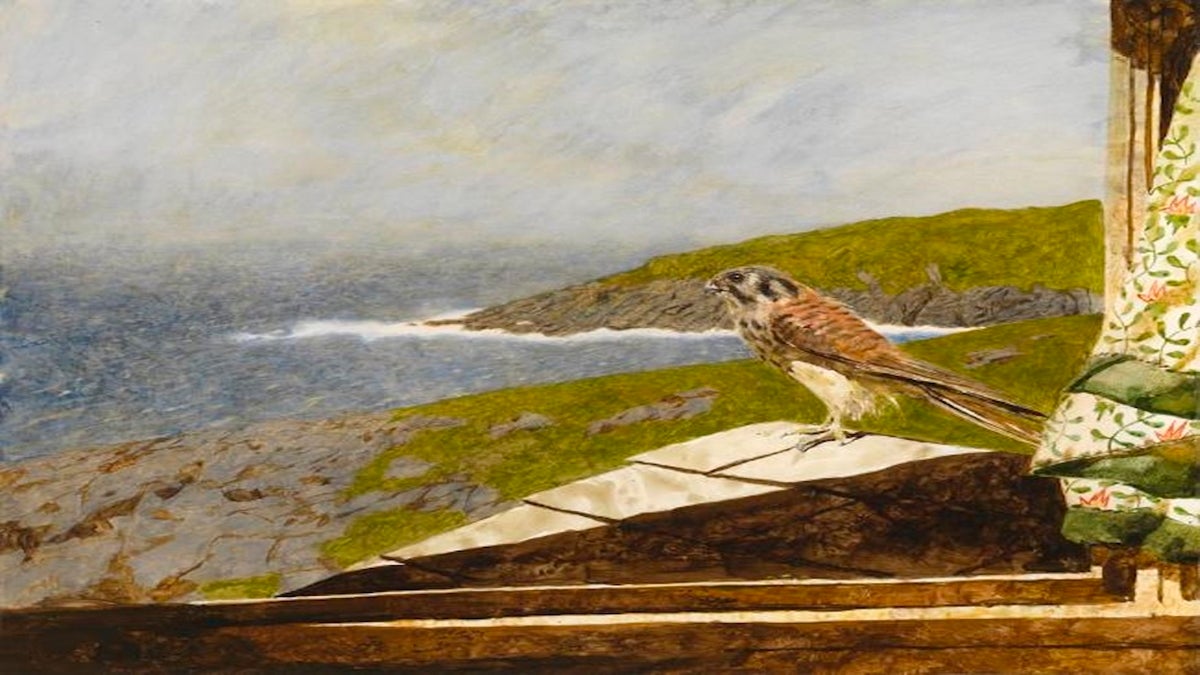  Kestrel, a 1985 painting by Jamie Wyeth, is on display at the Somerville Manning Gallery. 
