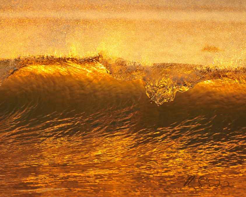  This sun-drenched gold wave was captured by Robert Siliato Photography in Belmar, NJ, on Sept 4, 2013. (Photo via JSHN) 