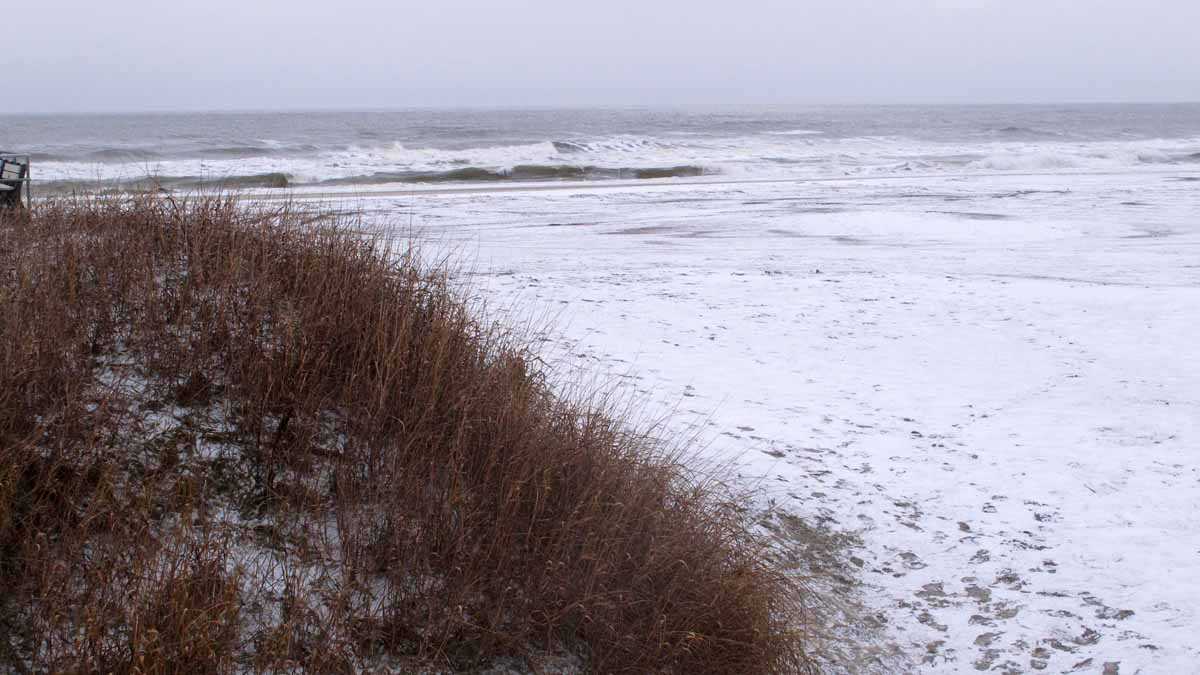  A sand dune in Ventnor, New Jersey, ends at the border of Margate, which opposes construction of the protective dunes. (AP file photo)  