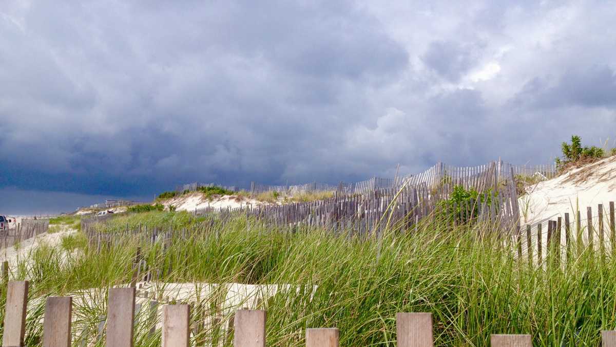 South Seaside Park dunes in August 2014. (Photo: Justin Auciello/for NewsWorks)