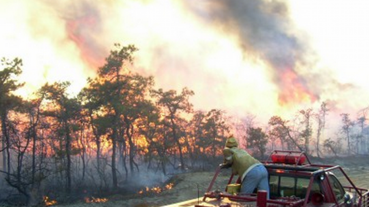  A firefighter on the scene of a fire at Warren Grove in southern Ocean County in 2004. (Photo: New Jersey Forest Fire Service) 