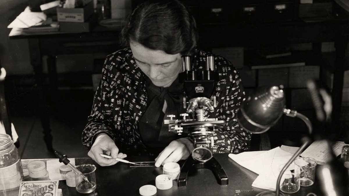  Dr. Ruth Patrick examines diatom slides at the Academy of Natural Sciences in the 1940s. (Courtesy of the Academy of Natural Sciences Archive)  