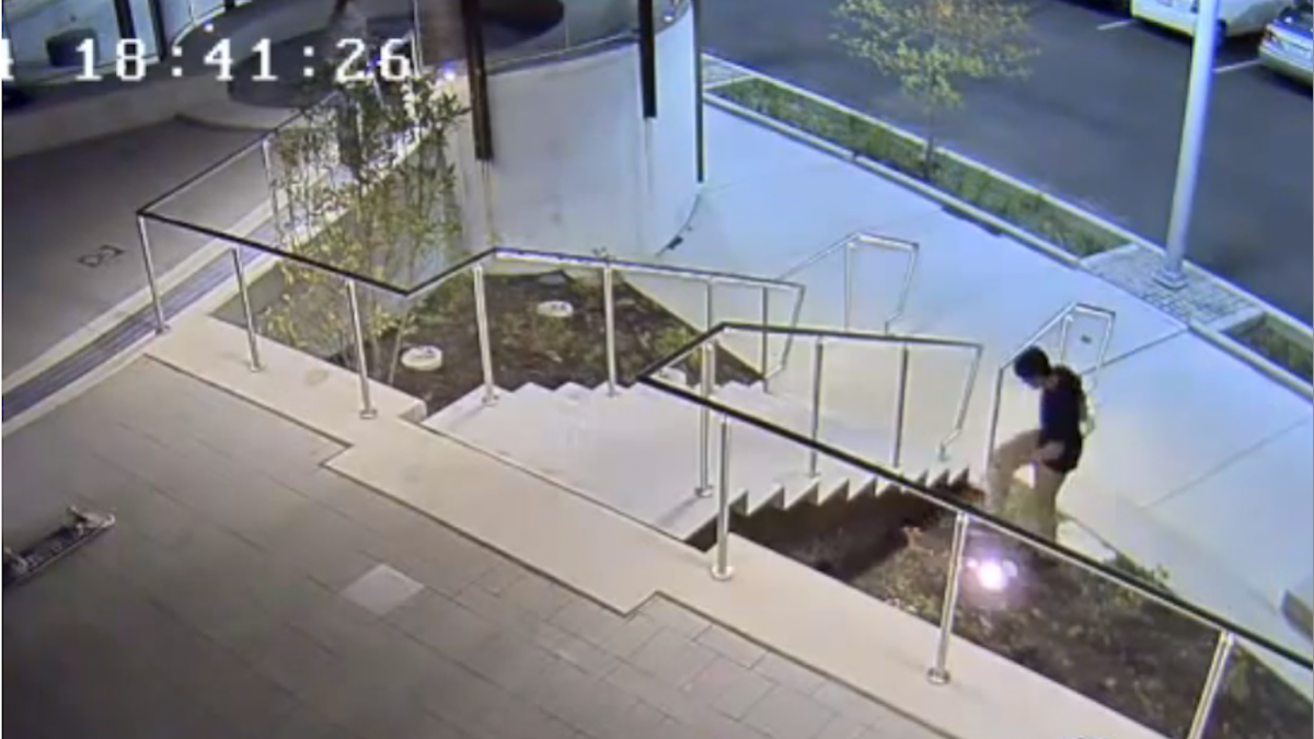  Footage of an alleged vandal causing upwards of $30,000 in damage at Manayunk's Venice Island. A teenage suspect has been charged in connection with the vandalism. (Image courtesy of Philadelphia Police)  
