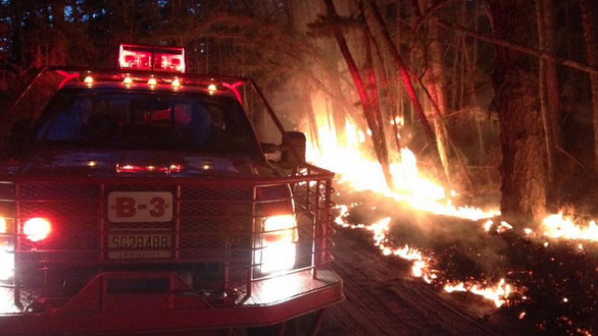 A New Jersey Forest Fire Service truck on the scene of the 'Devious Mount' wildfire in Wharton State Forest in early April 2014. Crews contained the forest fire