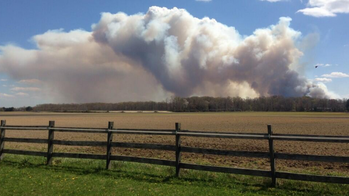  The smoke plume from the forest fire in Waterford Sunday afternoon. (Photo courtesy of @taeganlong via Twitter) 