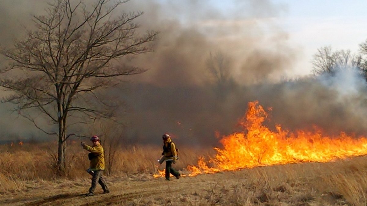 A controlled burn at Monmouth Battlefield in March 2014. (Photo: NJ Forest Fire Service)