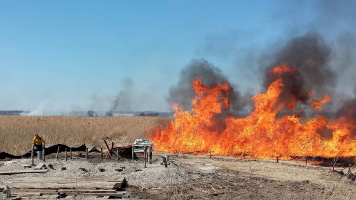 (Photo: New Jersey Forest Fire Service)