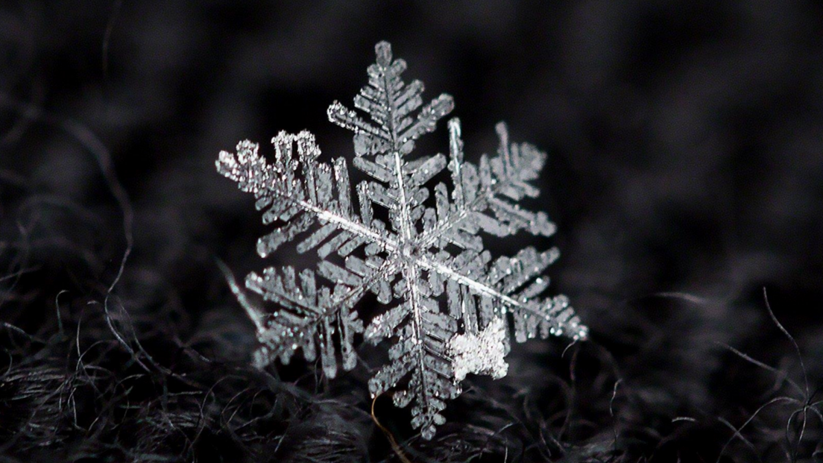 A snowflake as photographed by Robert Raia.