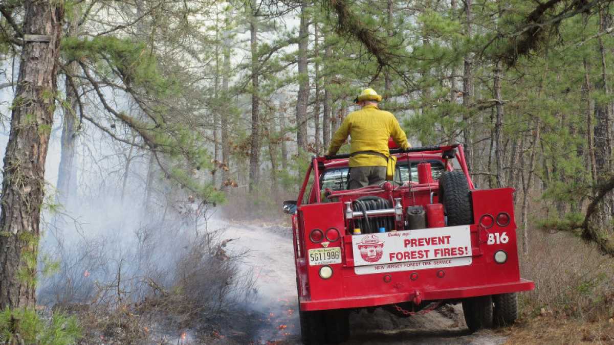  A prescribed burn in Wharton State Forest, Burlington County on March 3, 2013. (Image: NJ Forest Fire Service, Section B10) 