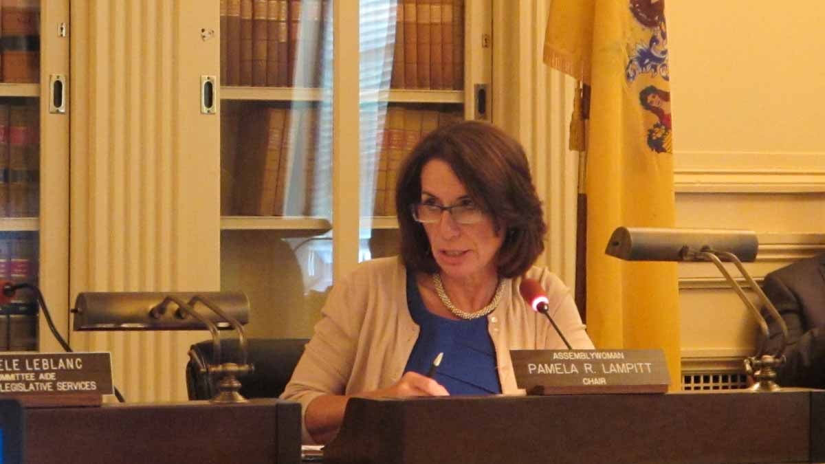  Assemblywoman Pamela Lampitt says licensing of human milk banks would protect babies’ health. (Phil Gregory/WHYY) 