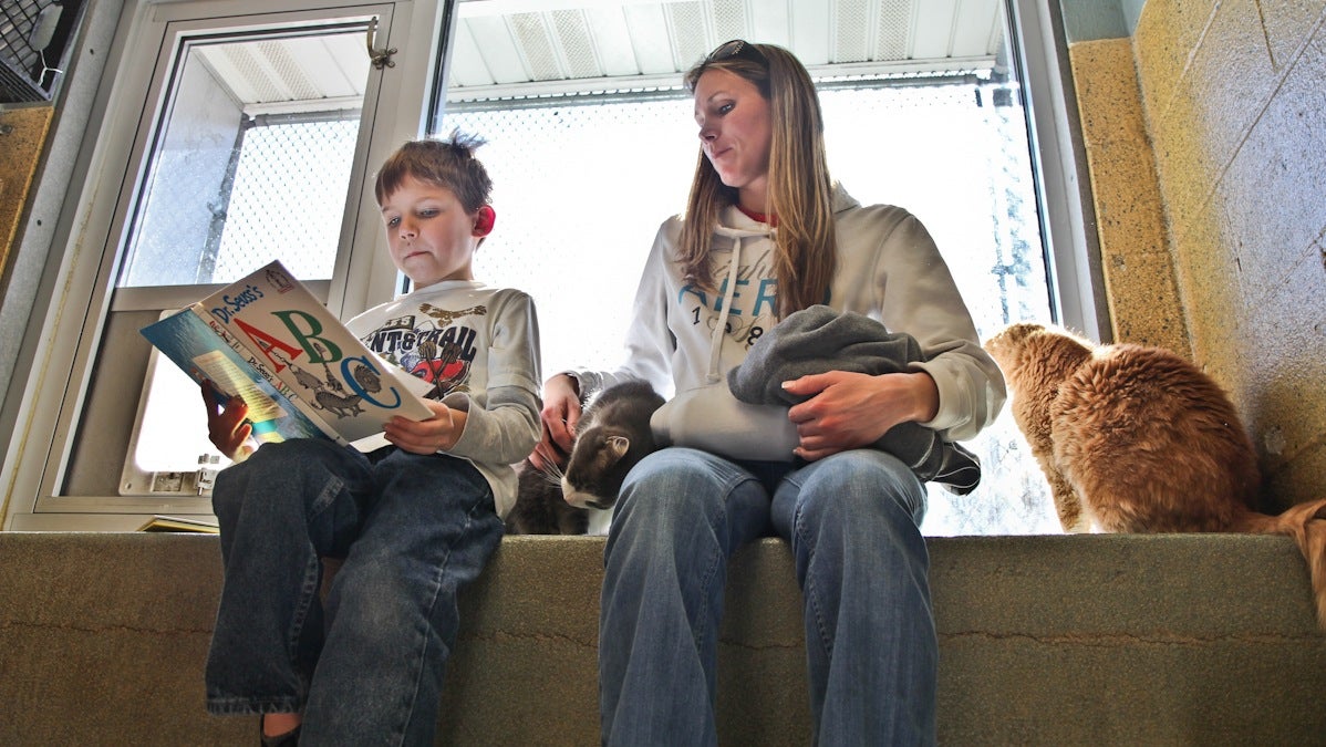  Shannon Gregor and her son Bryson read to cats at the Animal Rescue League of Berks County. (Kimberly Paynter/WHYY) 