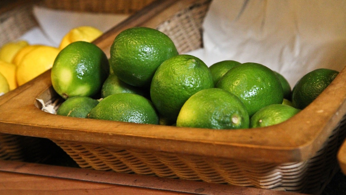 Limes are back on the shelves in Philadelphia and some are working to avoid any future shortages. (Kimberly Paynter/WHYY) 