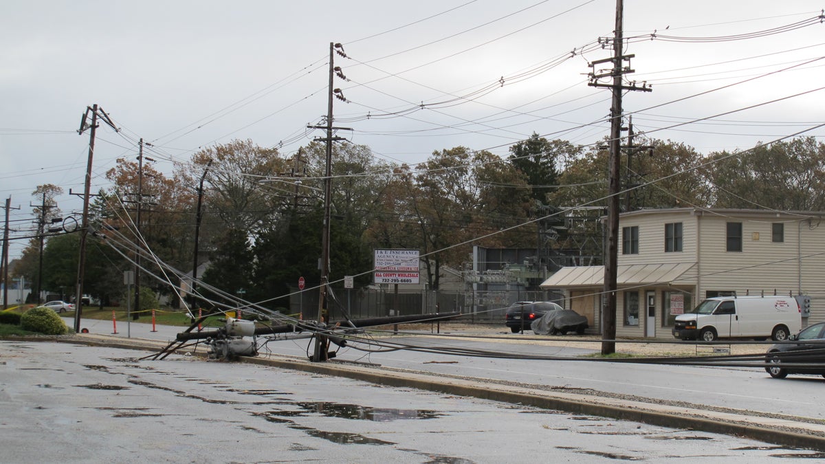 Power lines toppled by Superstorm Sandy. (Phil Gregory/WHYY)