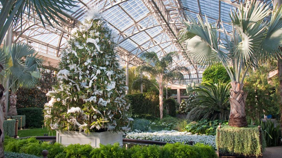 One of the living floral displays includes an 18-foot Douglas fir. (Image courtesy of Longwood Gardens) 