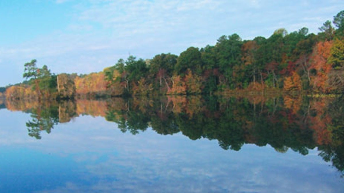 File photo: Lums Pond State Park in Delaware. (Photo courtesy DE State Parks) 