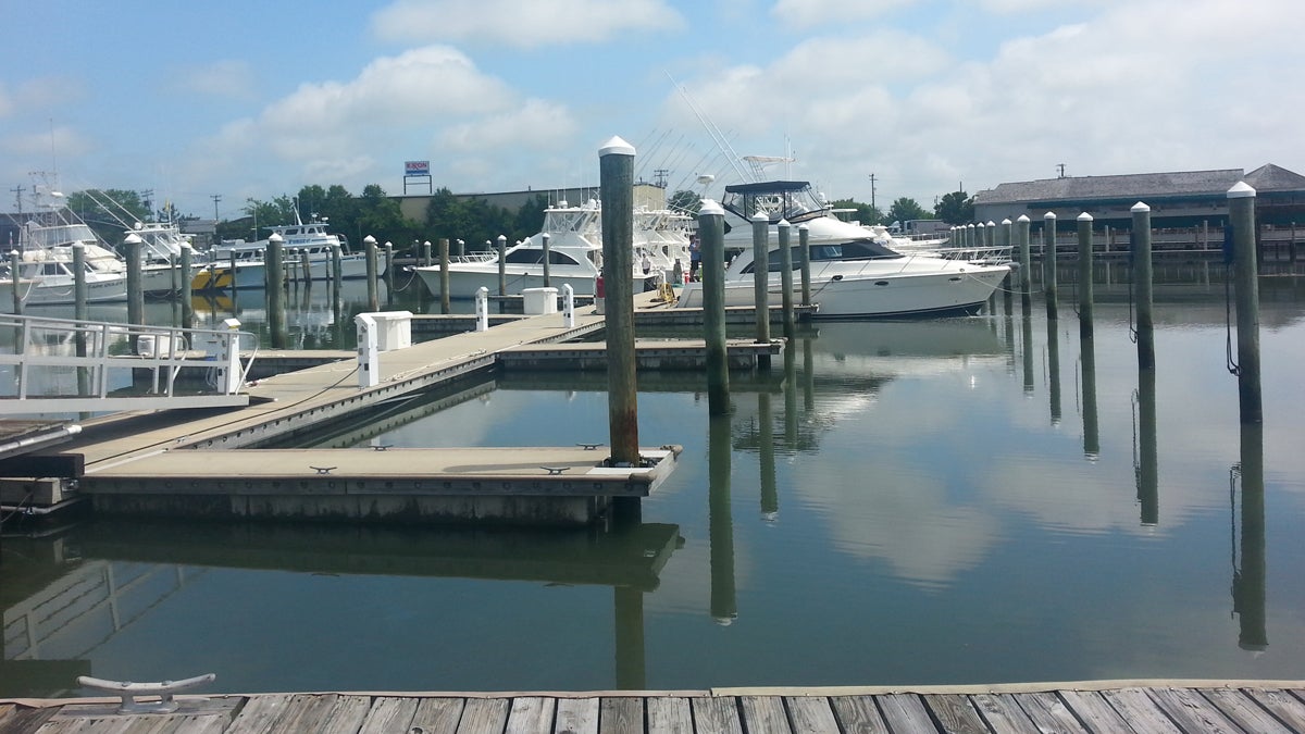  Changes under consideration by the New Jersey Department of Environmental Protection would allow building marinas in coastal areas and expanding existing facilities to include restaurants. (WHYY file photo) 
