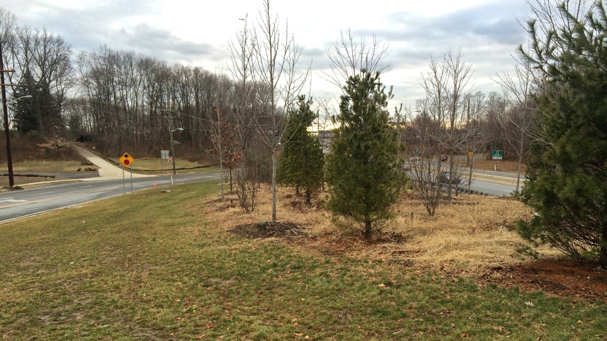 According to civil rights activist Patrick Duff, this plot of land in Maple Shade, N.J., is the former site of Mary's Place, a bar where Martin Luther King Jr. and friends were refused service. Duff wants to make the plot a small park featuring a plaque and a statue of King. (Photo courtesy of Patrick Duff) 