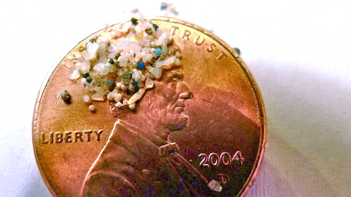  A sample of 'microbeads' collected in eastern Lake Erie is shown on the face of a penny. (AP Photo/Courtesy 5gyres.org, Carolyn Box, file) 