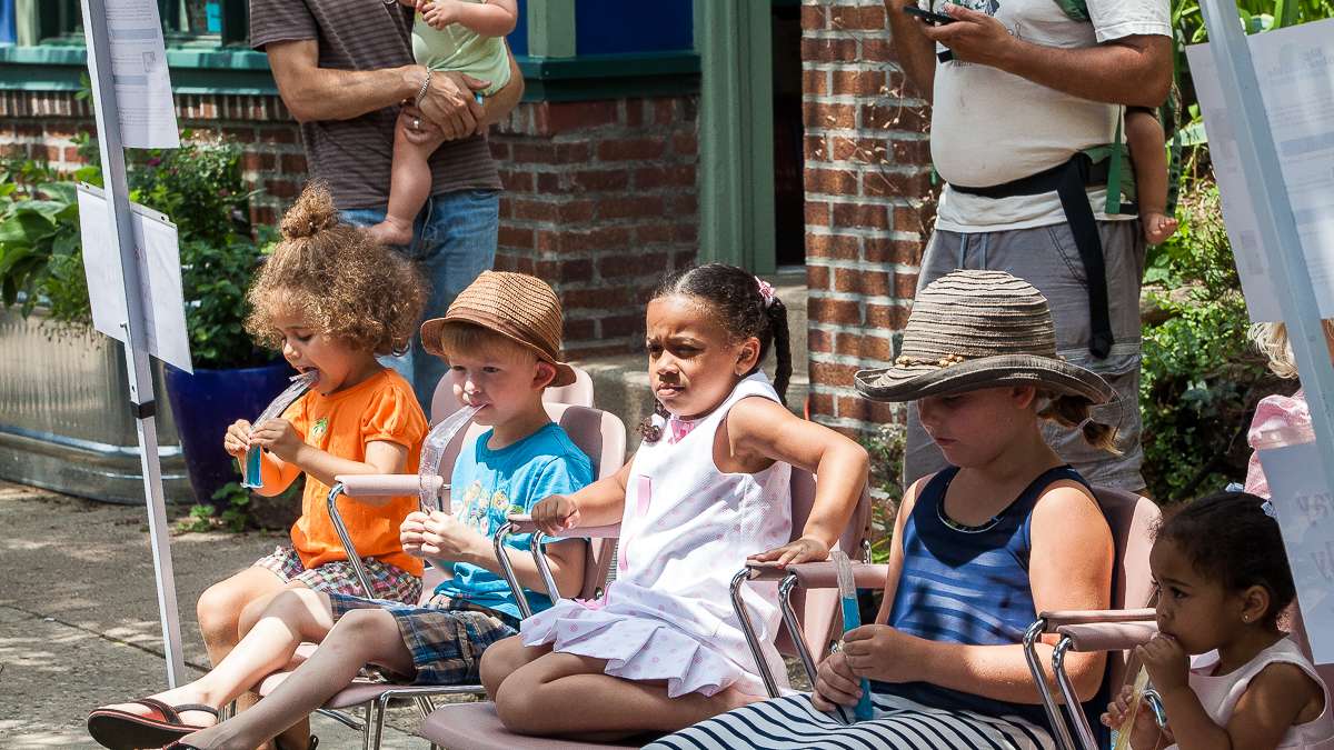  Head to the Big Blue Marble Bookstore for the  2015 Mt. Airy Kids' Literary Festival. (Brad Larrison/for NewsWorks, file) 