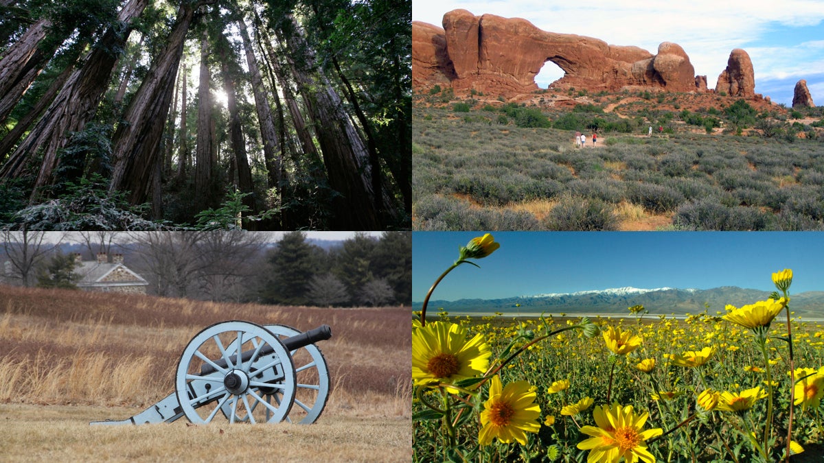  This year's Flower Show will showcase the diverse flora of national parks. (AP file photos) 