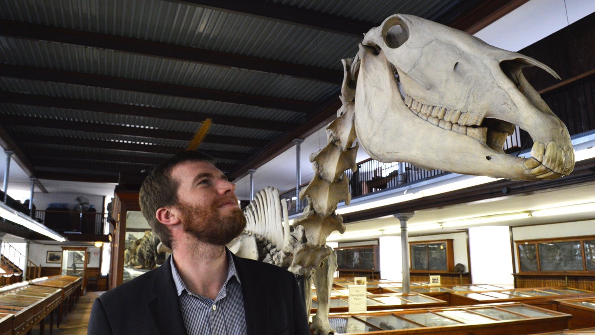 Kristofer Helgen, Curator of Mammals at the Smithsonian's National Museum of Natural History, has discovered new species in old museums. Here, he visits the Wagner Free Institute of Science. (Paige Pfleger/WHYY)