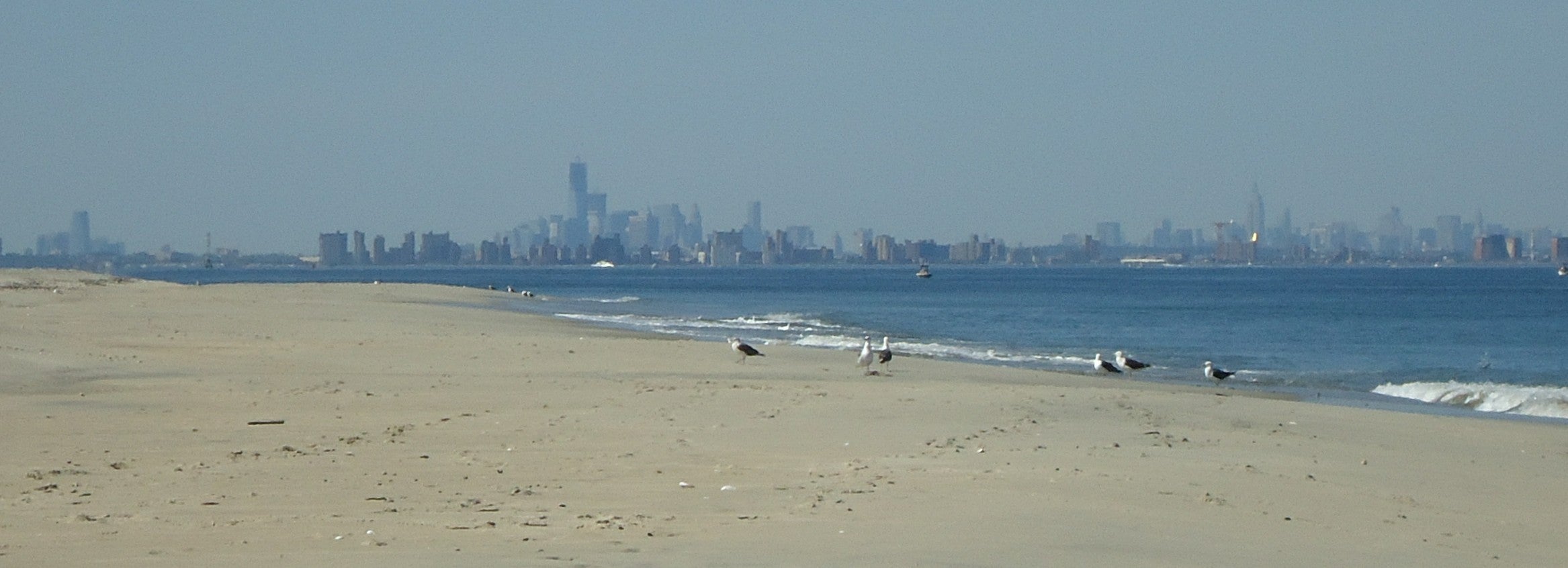  Sandy Hook. (Image: wikipedia.org) 