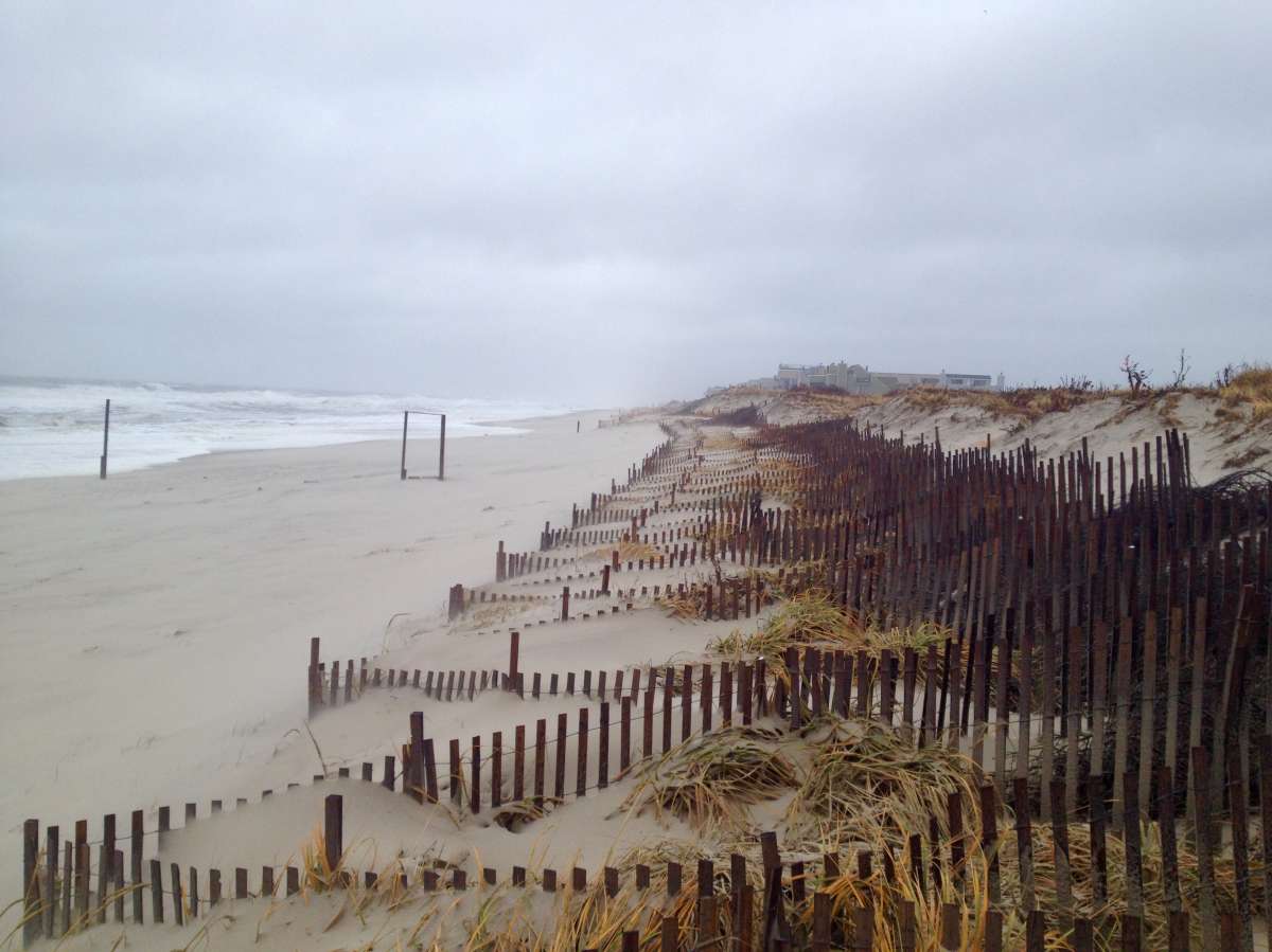  The Midway Beach dune system on Dec. 9, 2014. (Photo courtesy of Dominick Solazzo) 