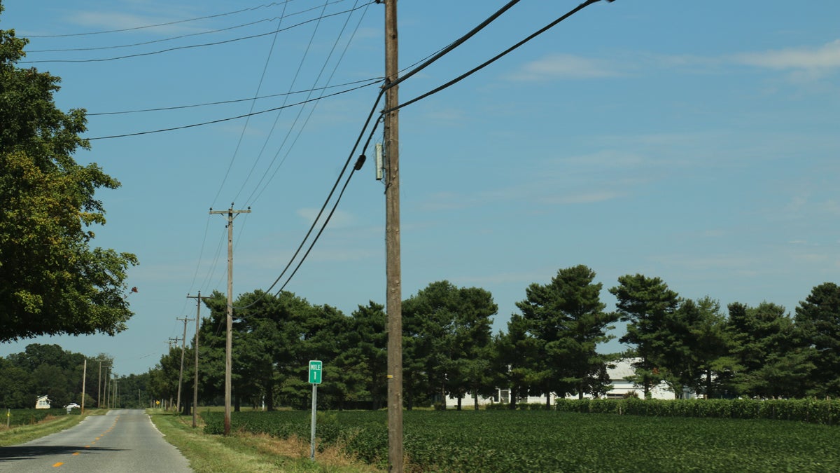  Telephone poles in Cumberland County, where residents have complained of issues with their phones. A recent decision from the Board of Public Utilities would deregulate rate increases for Verizon's landline telephone service. (Joe Hernandez/WHYY) 