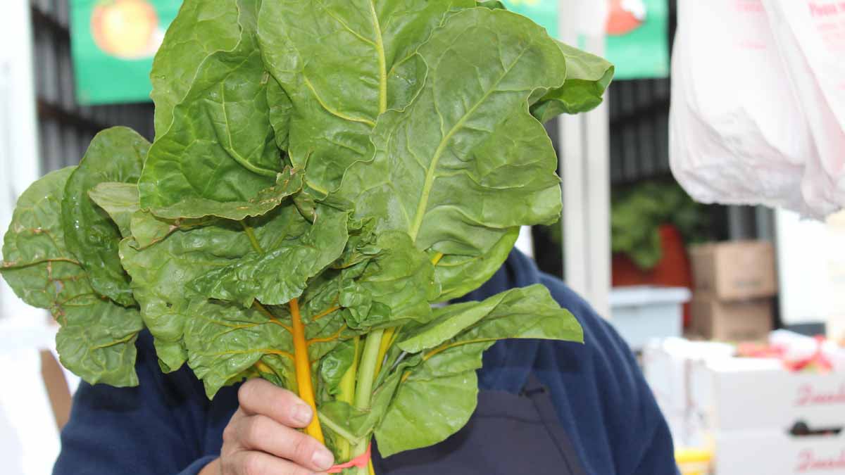  Leafy greens at the Collingswood Farmer's Market in New Jersey (NewsWorks photo, file) 