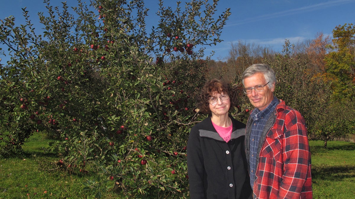  Joyce and Steve Libal run Mountain Meadows Orchard out of their 63-acre home in Apolacon Township, Susquehanna County.  Talisman Energy canceled a permit allowing them to drill for natural gas on the the Libals' unleased property.  (Katie Colaneri/WHYY) 