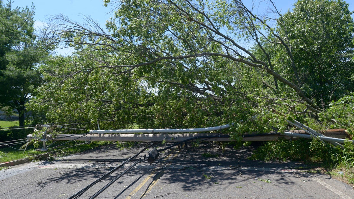  A tree toppled power lines on Orr Road in Blackwood, Camden County. Camden, Gloucester, Burlington and Salem counties saw the most damage from the ferocious storms that barreled through the region. (Atlantic City Electric photo) 