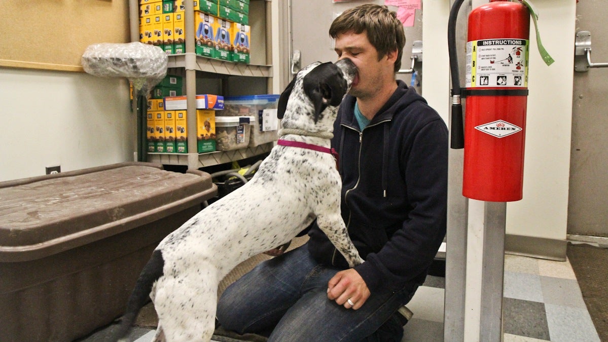 PAWS dog rescue coordinator