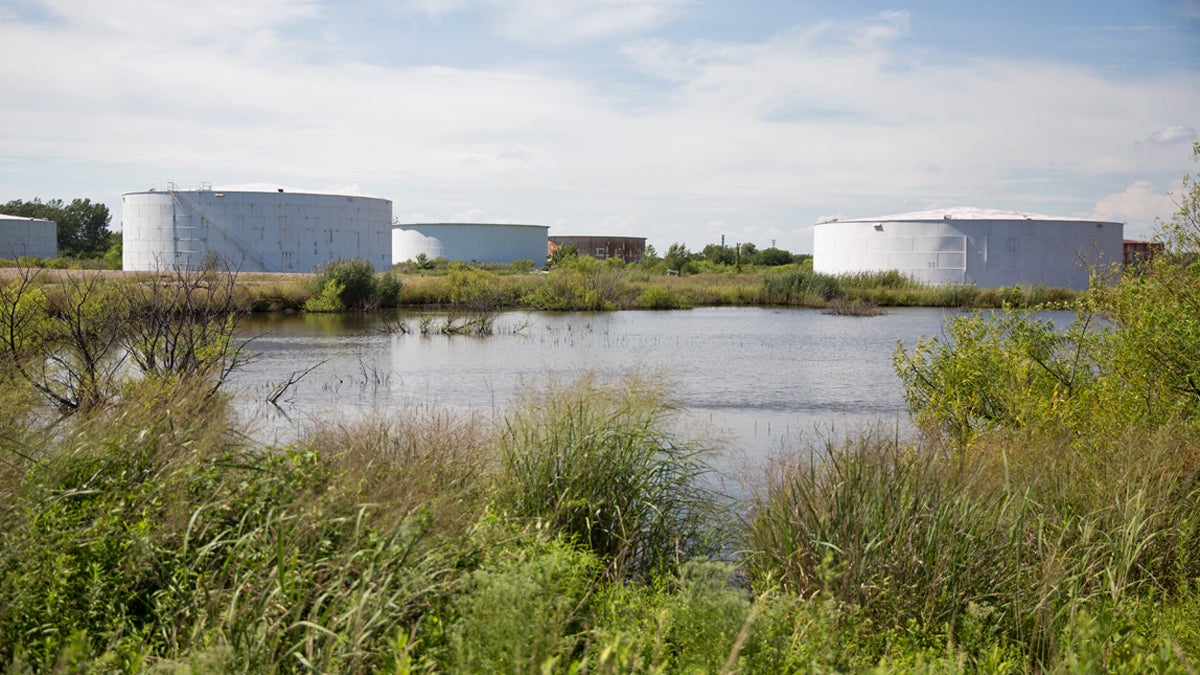 Ponds surround empty oil tanks at Petty's Island on the Delaware River.  (Lindsay Lazarski/WHYY)