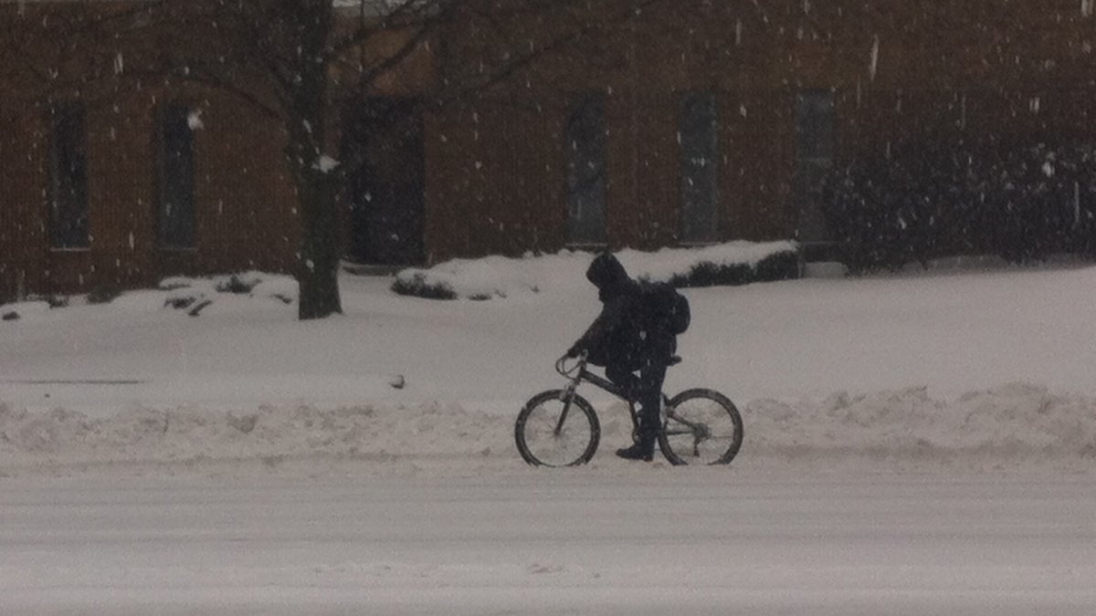  Ambitious biker rides along North Broad near Girard Avenue (Elizabeth Fiedler/WHYY) 