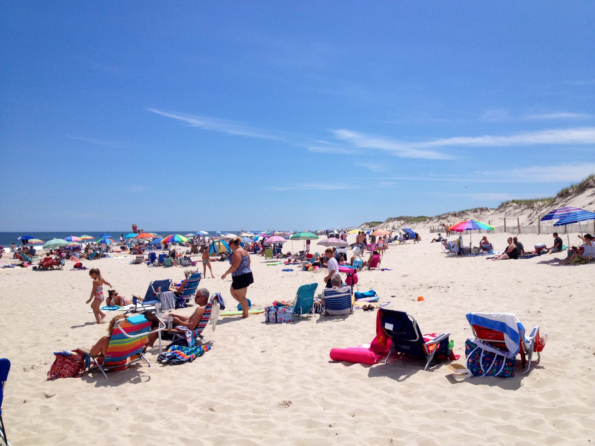  Island Beach State Park in mid-July 2014. (Photo: Justin Auciello/for NewsWorks) 