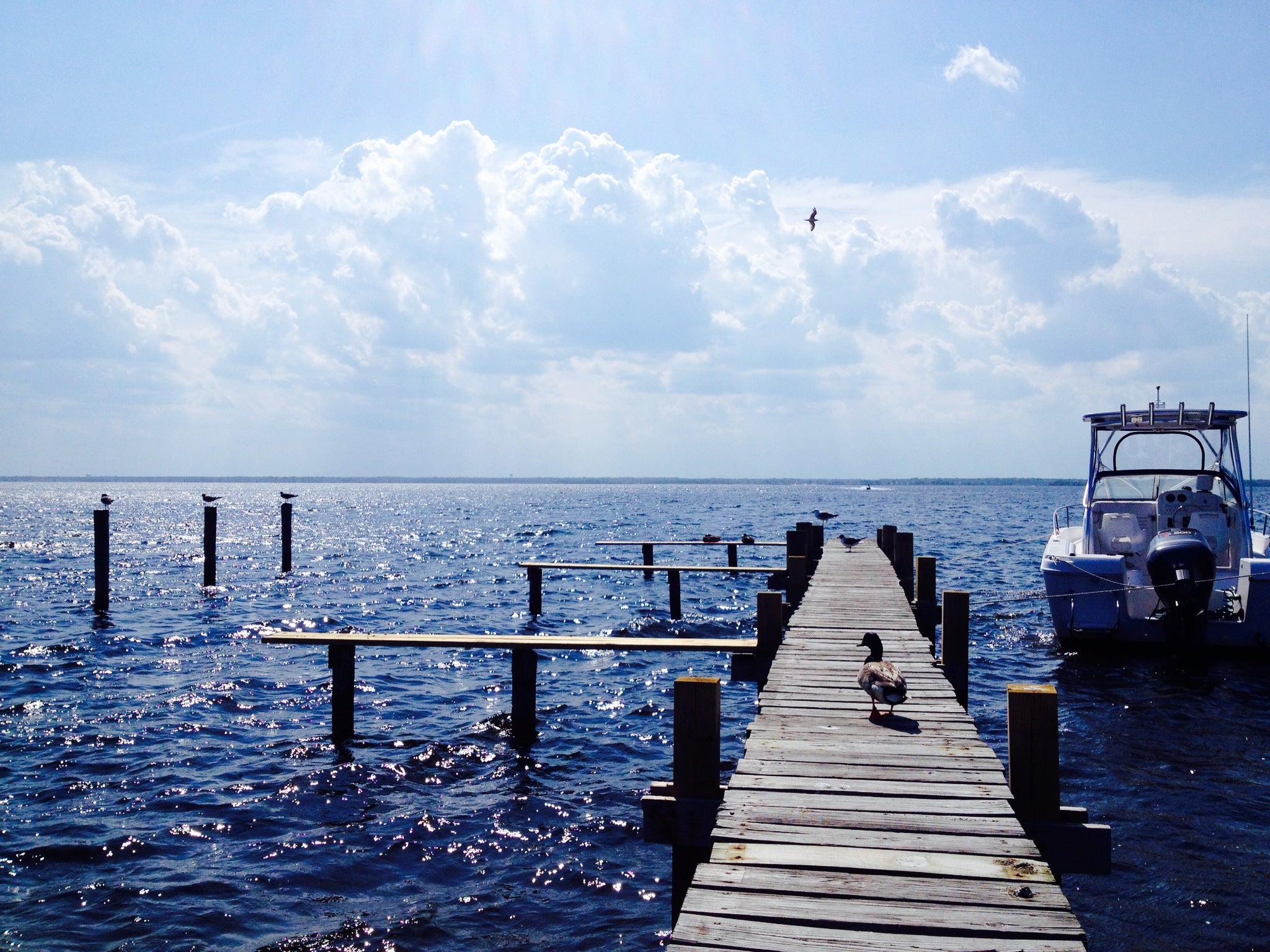  South Seaside Park in May 2014. (Photo: Justin Auciello/JSHN) 