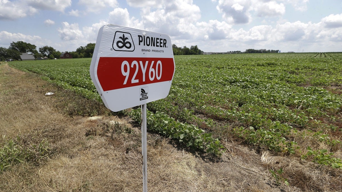  A DuPont Pioneer seed sign is placed in a bean field in Iowa. (AP Photo/Charlie Neibergall, File) 