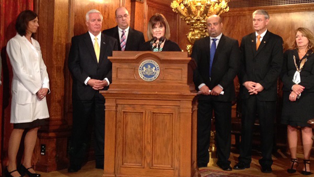 Vicki Pizzullo of Bucks County speaks after a bill in her daughter Hannah's named was signed into law Wednesday by Pa. Gov. Tom Corbett. The law mandates testing newborns for six more metabolic disorders. (Mary Wilson/WHYY)