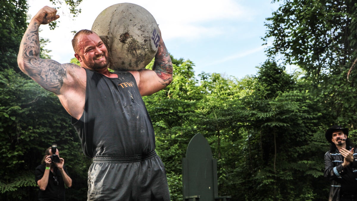 Hafthór Júlíus Björnsson, better known as ‘The Mountain’ from Game of Thrones, lifts a 275lb cement ball for the audience at the Philadelphia Renaissance Faire. (Kimberly Paynter/WHYY)