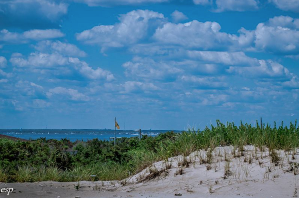  A sweeping Island Beach State Park vista. (Photo: Eveline Schwanitz Principe via The Friends of Island Beach State Park) 