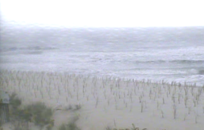  Newly planted dune grass under cloudy skies in Beach Haven Wednesday morning. (Image: TheSurfersView.com) 