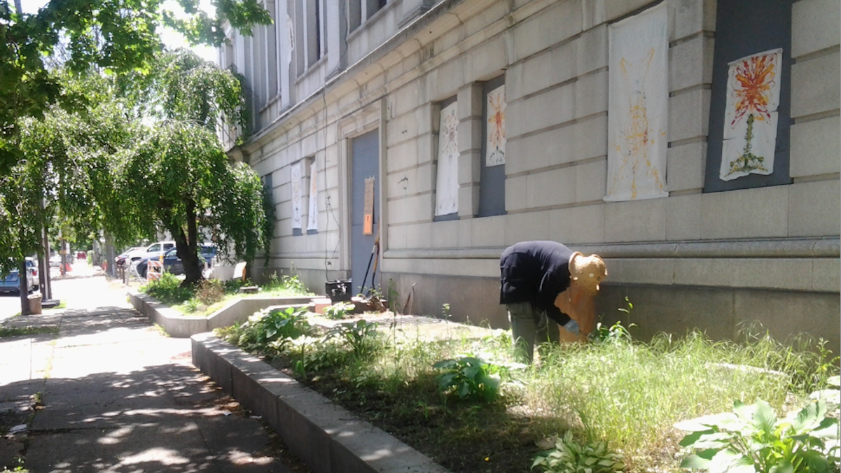 a person clears plants in a garden by a building.