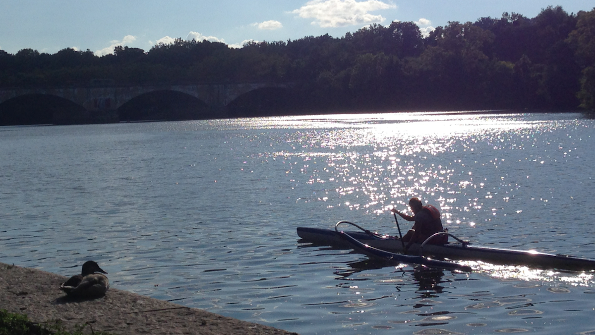  The BAYADA Regatta will force detours along a portion of Kelly Drive on Saturday. (Brian Hickey/WHYY) 