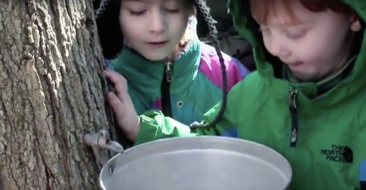 Check out the maple sugaring festival on Sunday. (NewsWorks file photo)