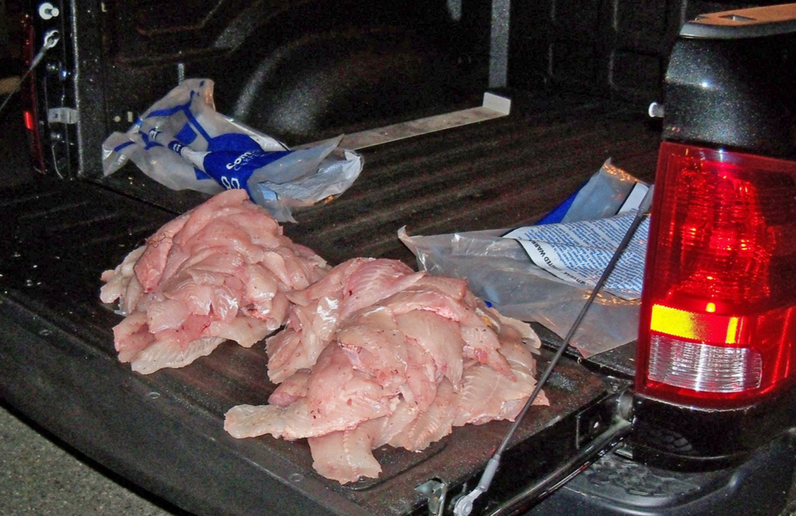 The filets removed from the Sea Isle City-based charter boat in March 2016. (Image courtesy of NJ Division of Fish and Wildlife)